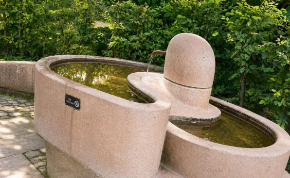 kneippen im wertwiesenpark heilbronn mit dem kneippverein heilbronn